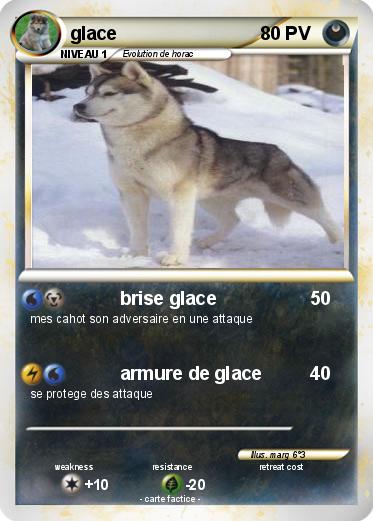 Pokemon glace