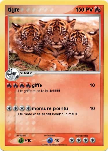 Pokemon tigre