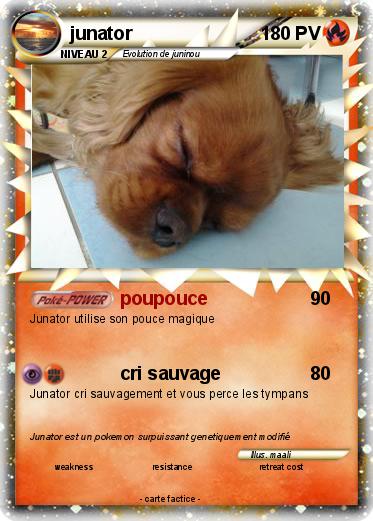 Pokemon junator