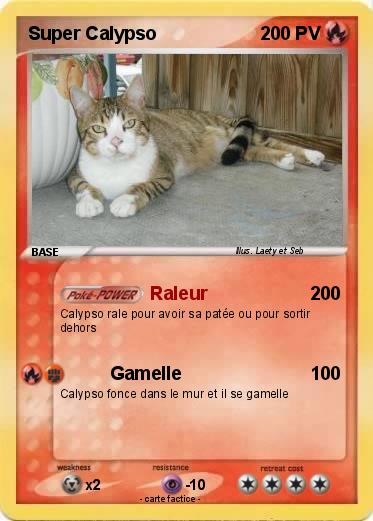 Pokemon Super Calypso