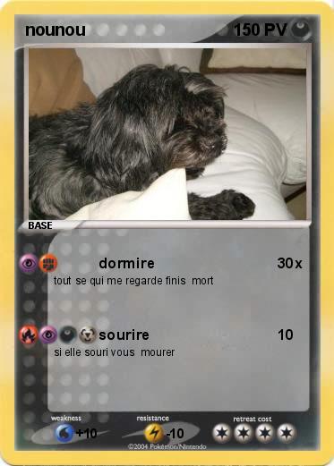 Pokemon nounou