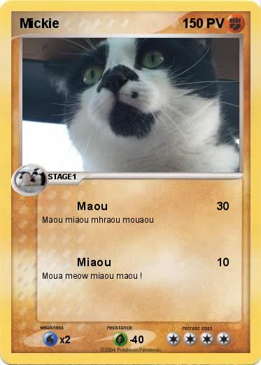 Pokemon Mickie