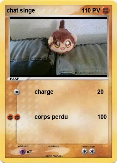 Pokemon chat singe