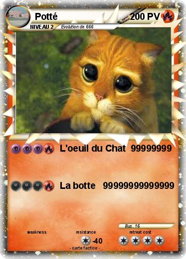 Pokemon Potté