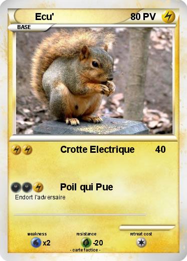 Pokemon Ecu'