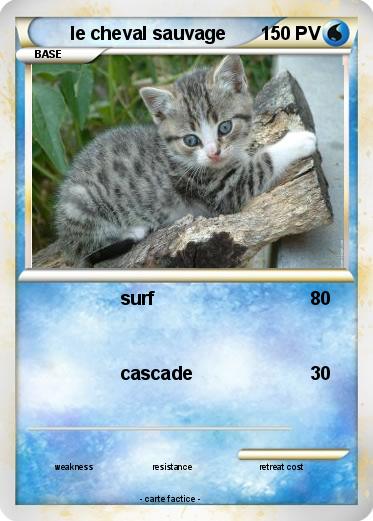 Pokemon le cheval sauvage