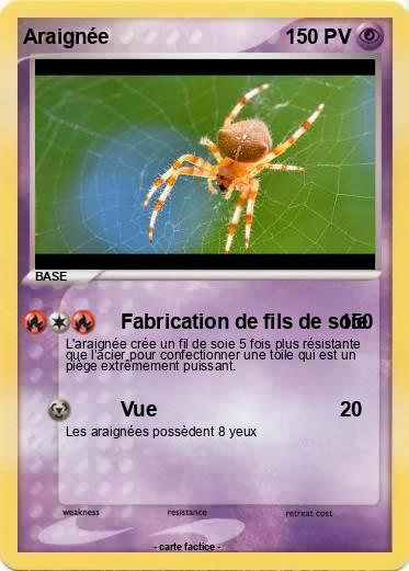 Pokemon Araignée