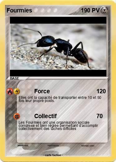 Pokemon Fourmies