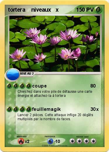 Pokemon tortera    niveaux   x