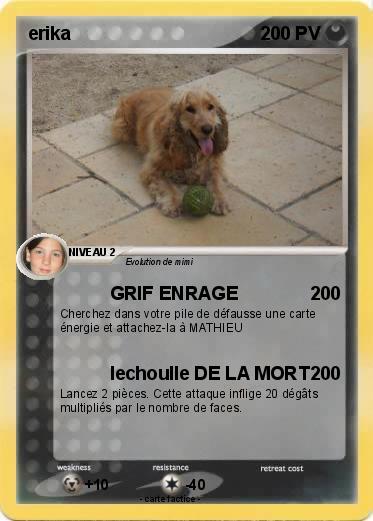 Pokemon erika