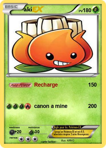 Pokemon aki