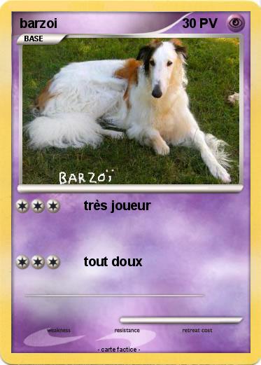 Pokemon barzoi
