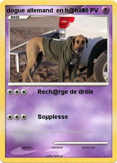 Pokemon dogue allemand  en h@bile