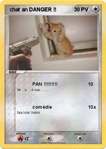 Pokemon  chat an DANGER !!