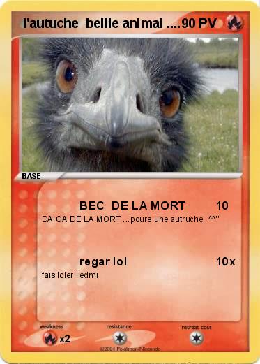 Pokemon  l'autuche  bellle animal ....
