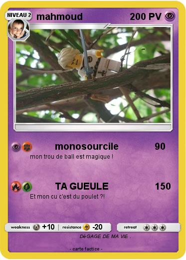 Pokemon mahmoud