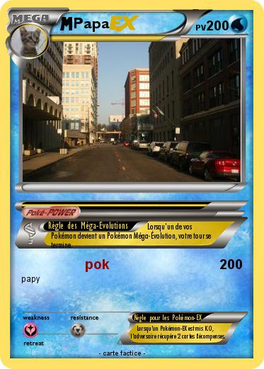 Pokemon Papa