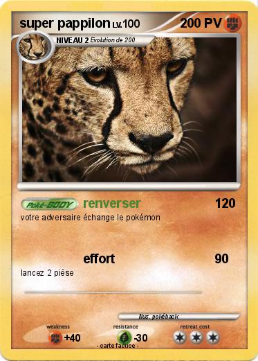 Pokemon super pappilon