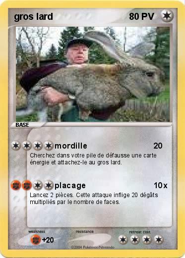 Pokemon gros lard