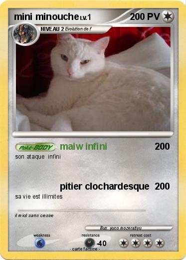 Pokemon mini minouche
