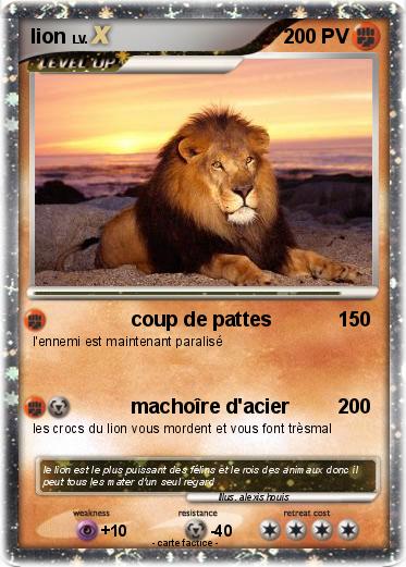 Pokemon lion