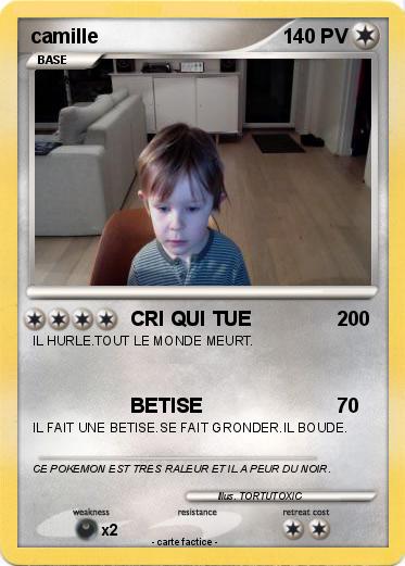 Pokemon camille