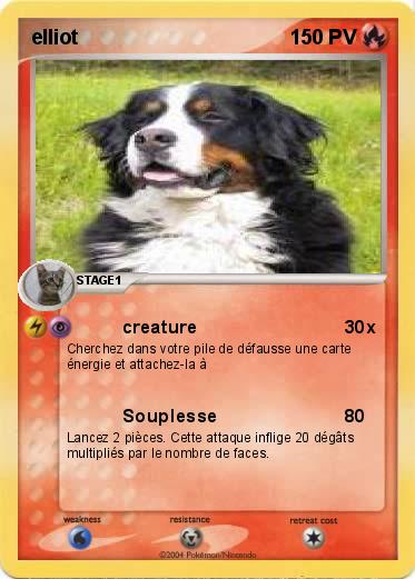 Pokemon elliot