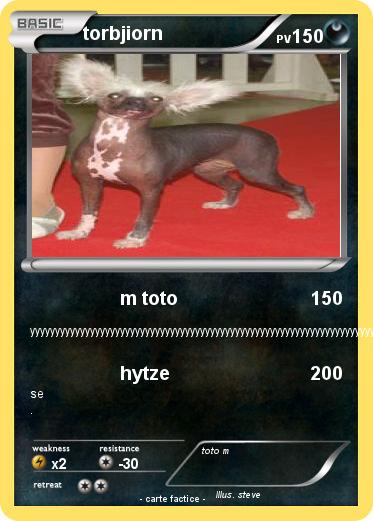 Pokemon torbjiorn