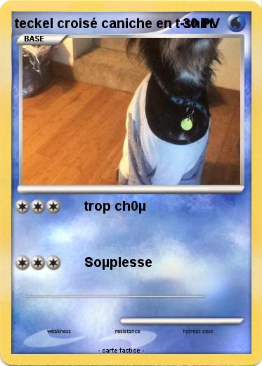 Pokemon teckel croisé caniche en t-shirt