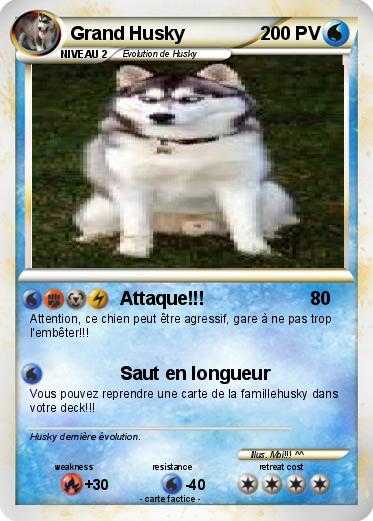 Pokemon Grand Husky