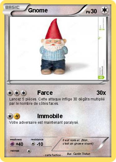 Pokemon Gnome