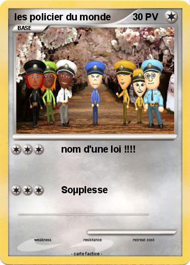 Pokemon les policier du monde