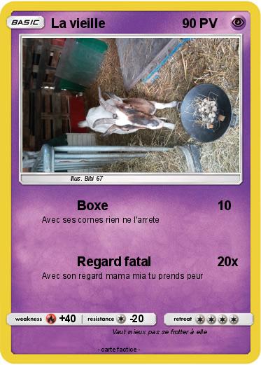 Pokemon La vieille