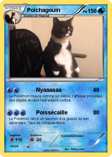 Pokemon Poichagouin