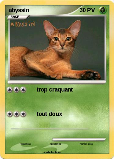 Pokemon abyssin