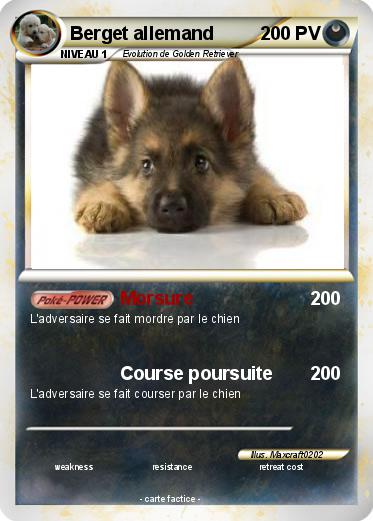 Pokemon Berget allemand