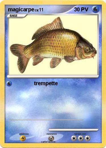 Pokemon magicarpe
