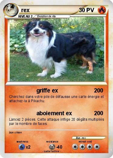 Pokemon rex