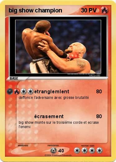 Pokemon big show champion