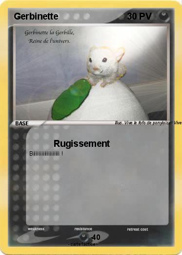 Pokemon Gerbinette