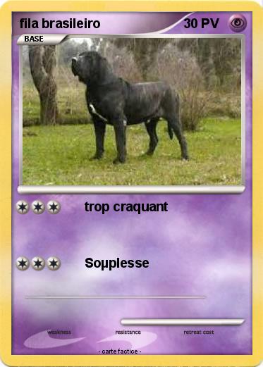 Pokemon fila brasileiro