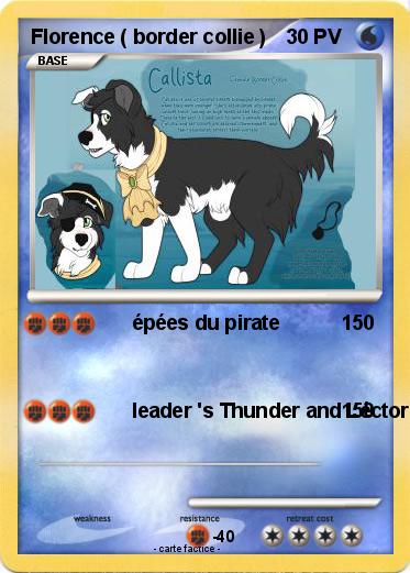 Pokemon Florence ( border collie )