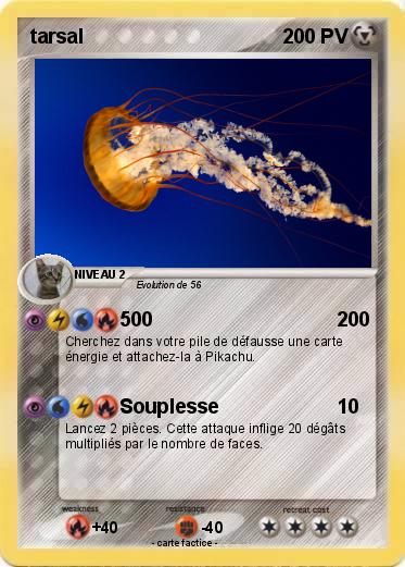 Pokemon tarsal