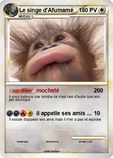 Pokemon Le singe d'Afumamé