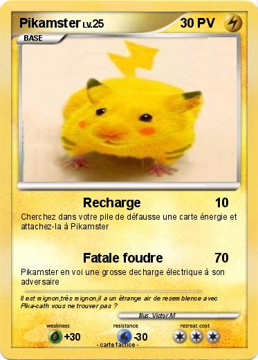 Pokemon Pikamster