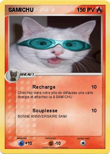 Pokemon SAMICHU