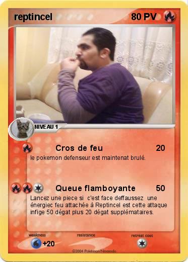 Pokemon reptincel