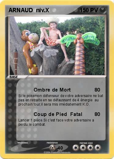 Pokemon ARNAUD  niv.X