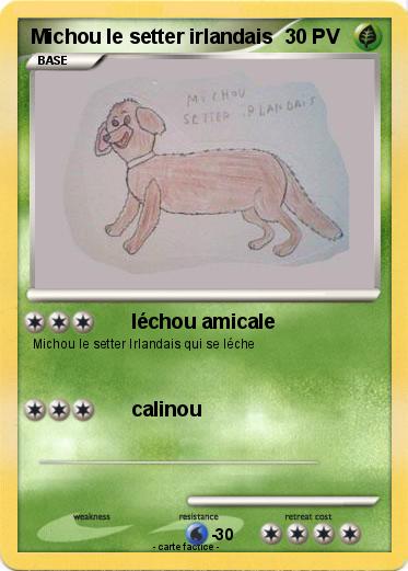 Pokemon Michou le setter irlandais