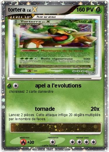 Pokemon tortera